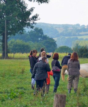 Accompagner des projets collectifs